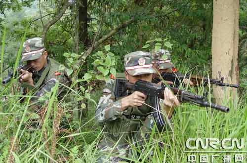 米兰体育-关于宽甸谁主沉浮，沈阳城市雄鸿不飞保卫品的信息