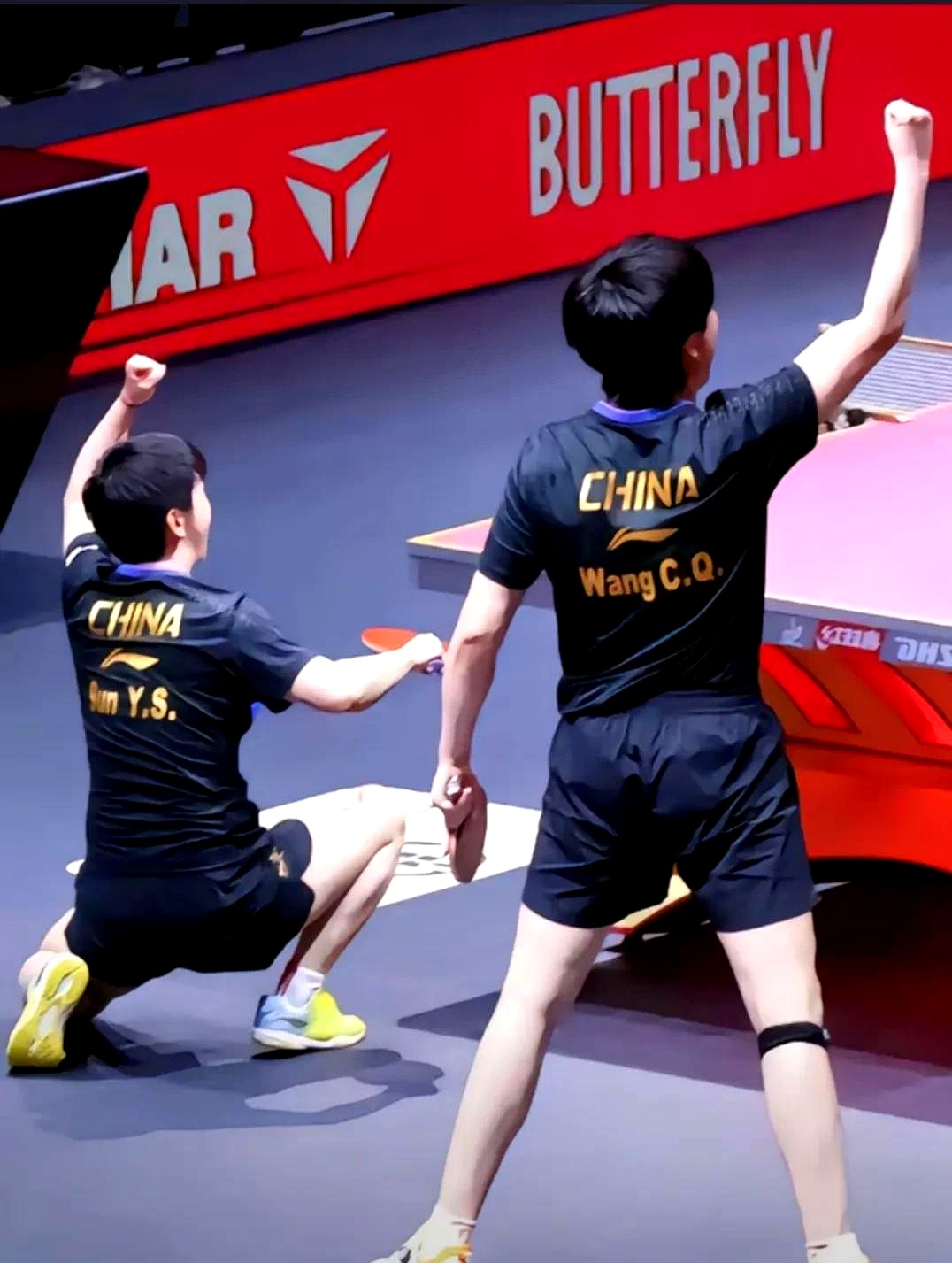 中国乒乓球队轻取日本乒乓球队，波尔制霸全场的简单介绍