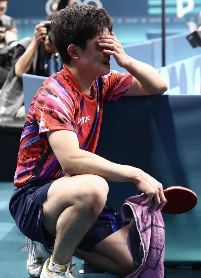 法国队横扫日本队，张本智和关键制胜的简单介绍