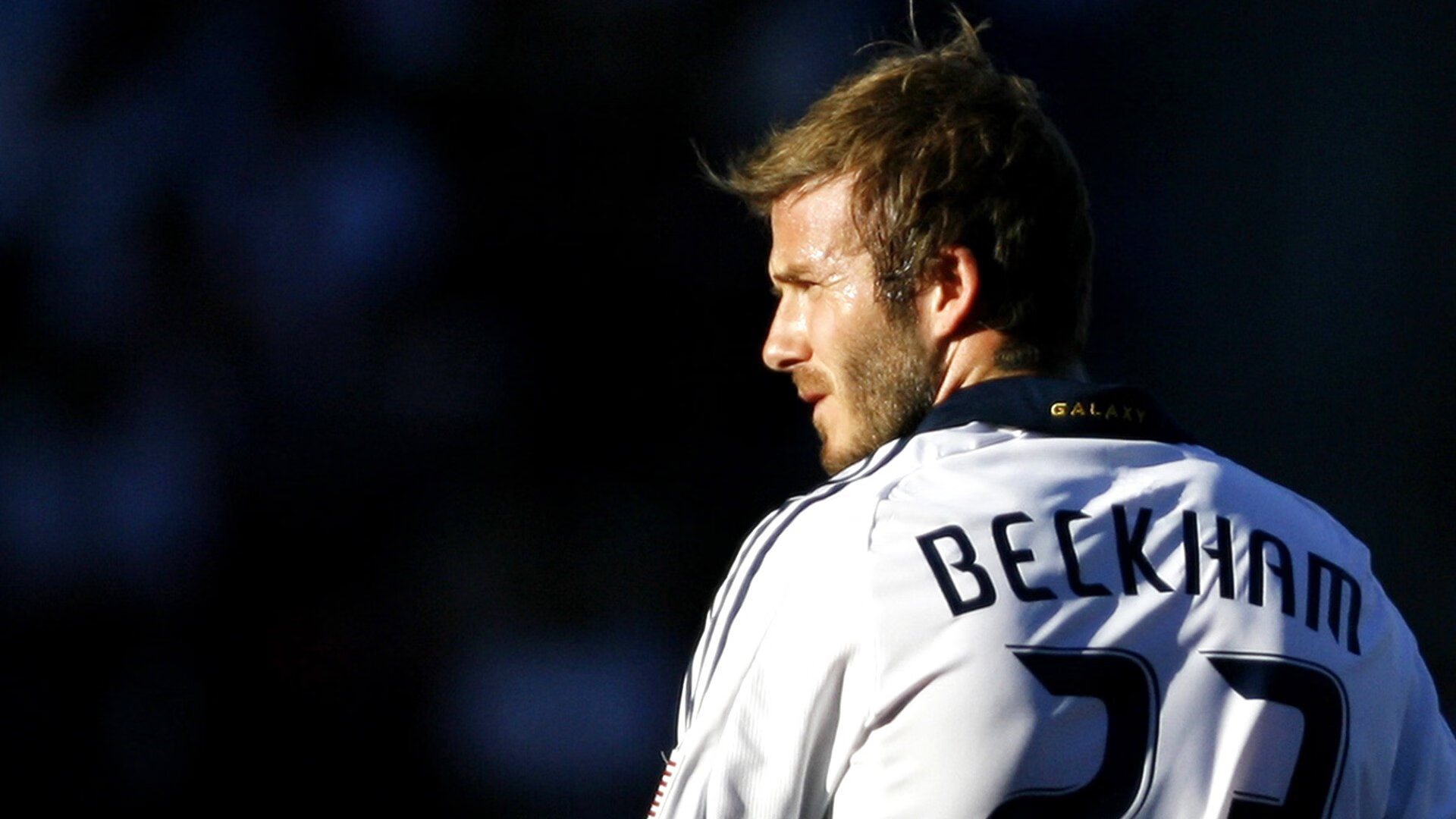 从浙江到世界,当争冠精神与戈贝尔的2026接管相遇